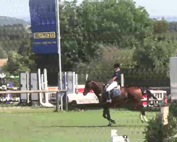 Reitturnier Leonberg 2015