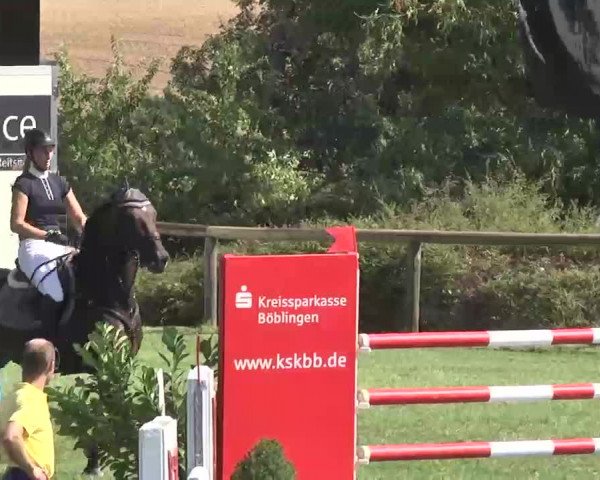 Reitturnier Leonberg 2015