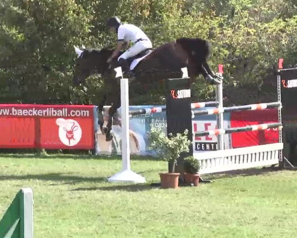 Reitturnier Leonberg 2015