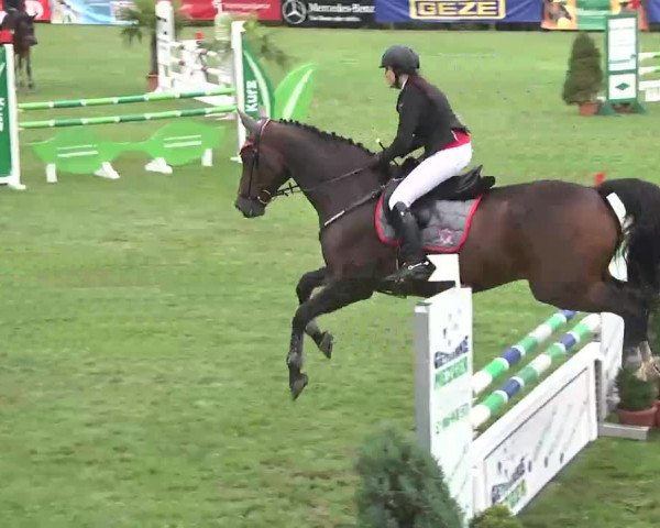 Reitturnier Leonberg 2015