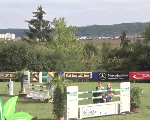 Reitturnier Leonberg 2015
