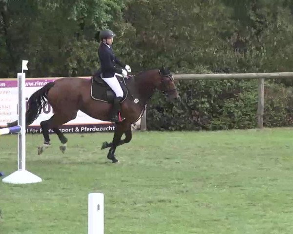 Reitturnier Leonberg 2015