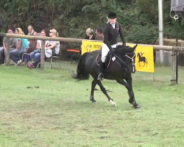 Reitturnier Leonberg 2015