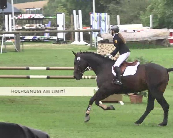 Reitturnier Leonberg 2015