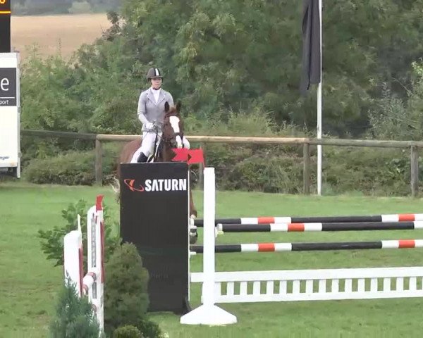 Reitturnier Leonberg 2015