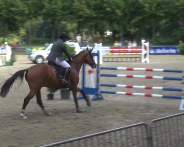 Wickrather Reitertage 2015