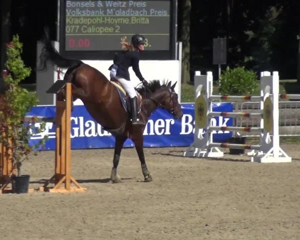 Wickrather Reitertage 2015