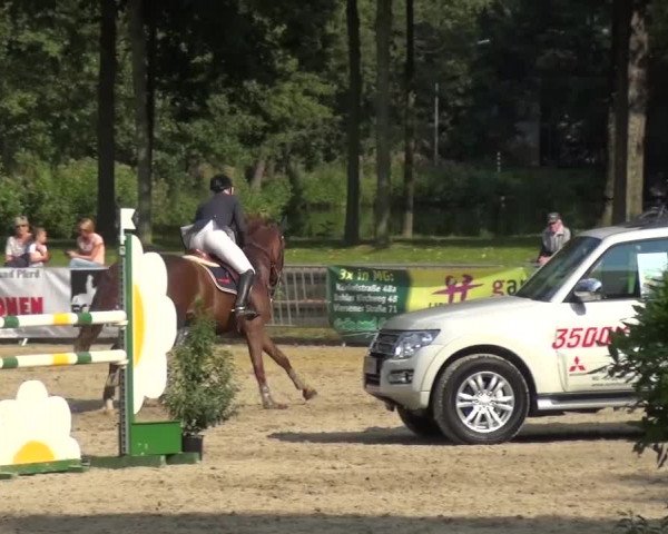 Wickrather Reitertage 2015