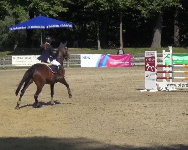 Wickrather Reitertage 2015