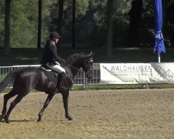 Wickrather Reitertage 2015