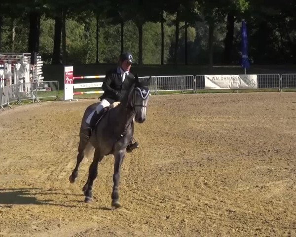 Wickrather Reitertage 2015