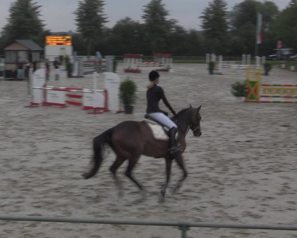 Reitturnier Appelhülsen 2015