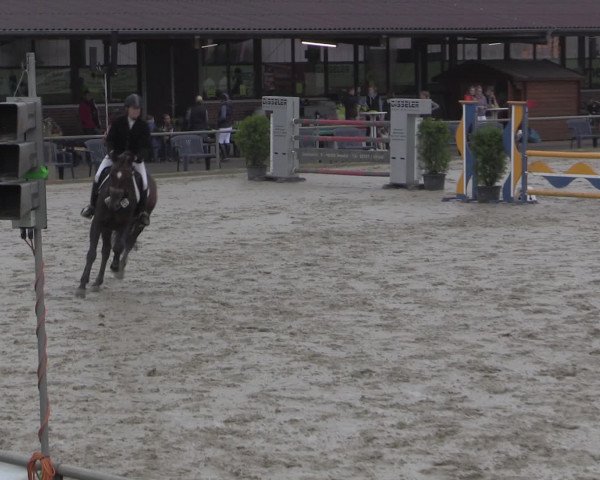 Reitturnier Appelhülsen 2015