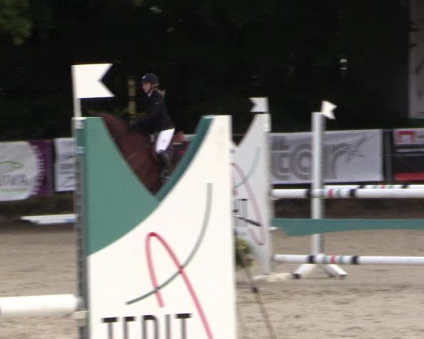 Springturnier Meinerzhagen 2015