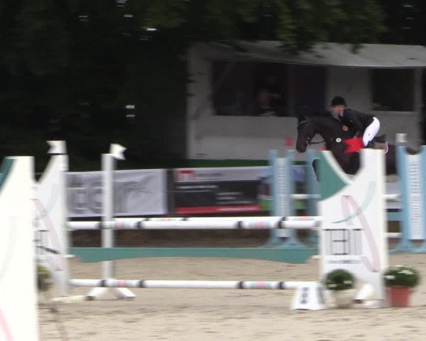 Springturnier Meinerzhagen 2015