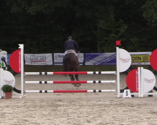 Springturnier Meinerzhagen 2015