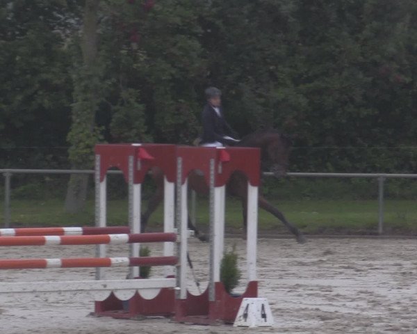Reitturnier Appelhülsen 2015