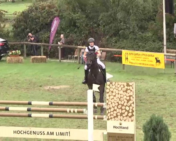Reitturnier Leonberg 2015