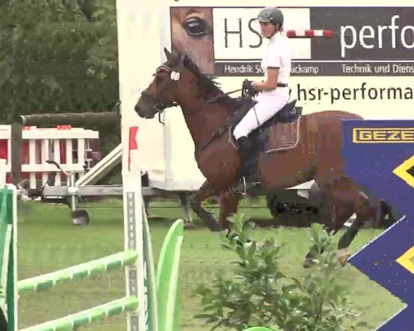Reitturnier Leonberg 2015
