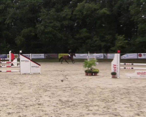 Springturnier Meinerzhagen 2015