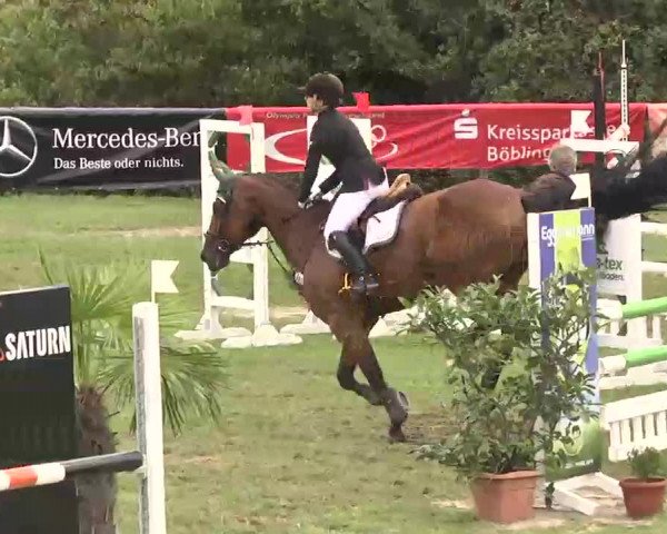 Reitturnier Leonberg 2015