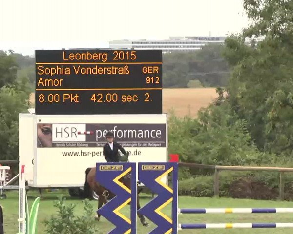 Reitturnier Leonberg 2015