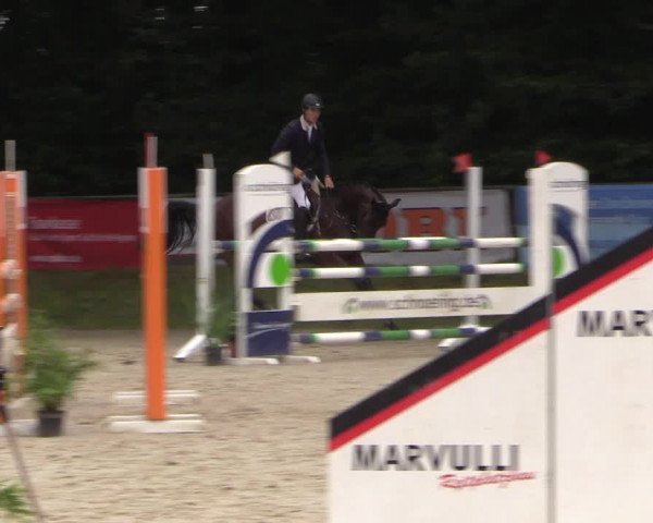Springturnier Meinerzhagen 2015