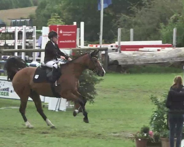Reitturnier Leonberg 2015