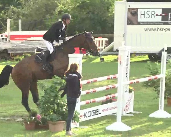 Reitturnier Leonberg 2015