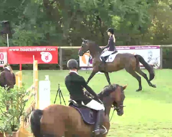 Reitturnier Leonberg 2015