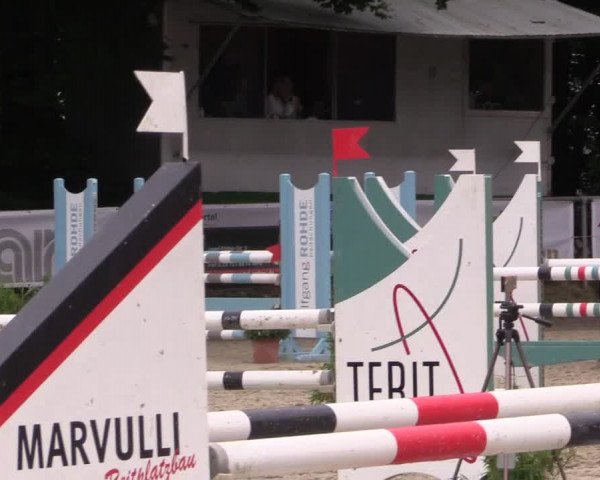 Springturnier Meinerzhagen 2015