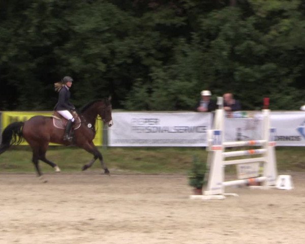 Springturnier Meinerzhagen 2015