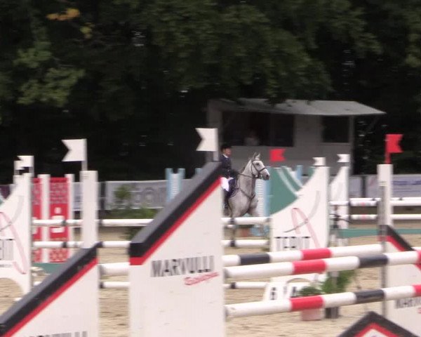 Springturnier Meinerzhagen 2015