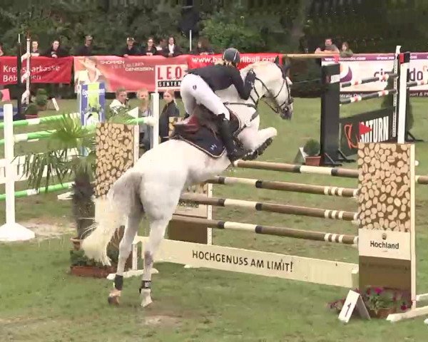 Reitturnier Leonberg 2015
