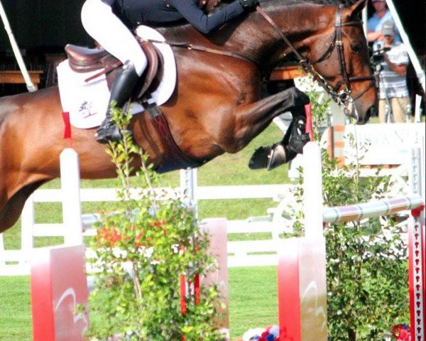 jumper Donald 550 (Oldenburg, 2009, from Diarado)