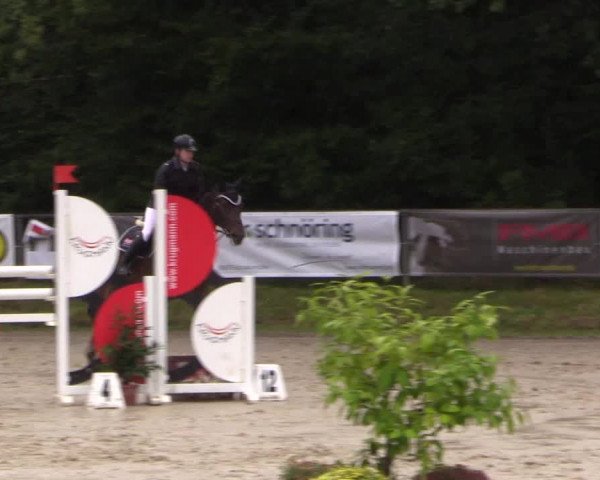 Springturnier Meinerzhagen 2015