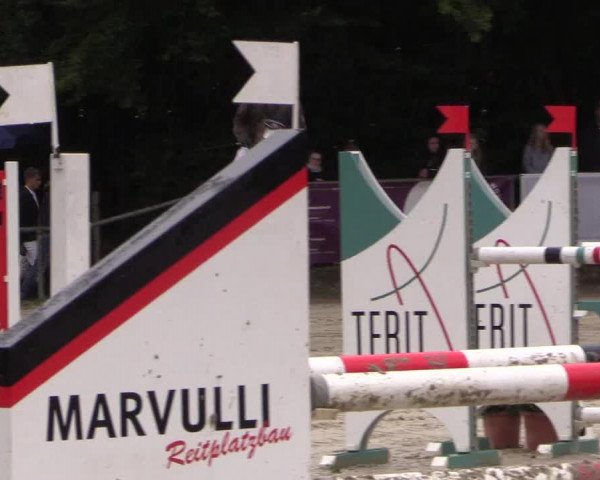 Springturnier Meinerzhagen 2015