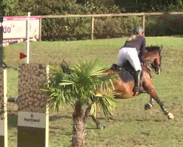 Reitturnier Leonberg 2015