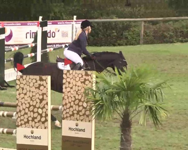 Reitturnier Leonberg 2015