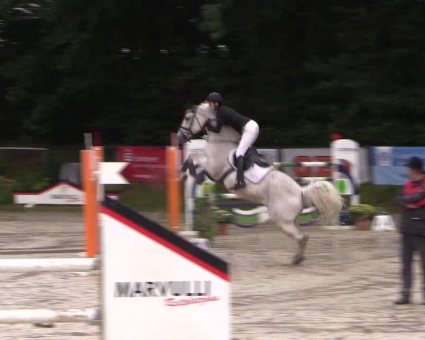 Springturnier Meinerzhagen 2015