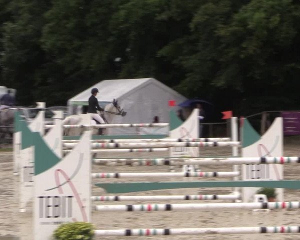 Springturnier Meinerzhagen 2015