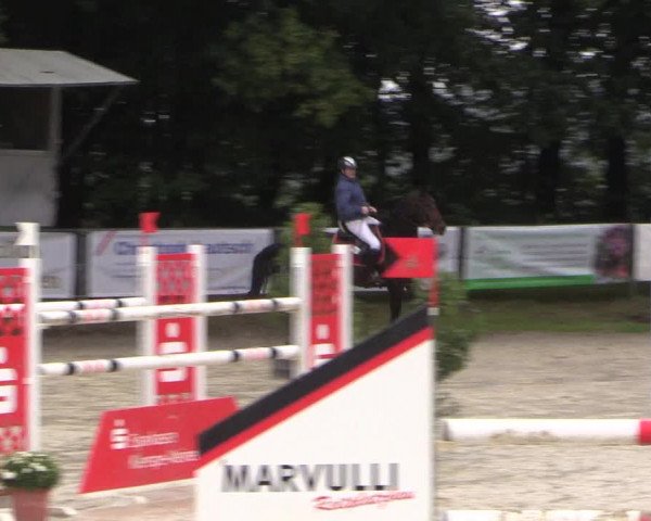 Springturnier Meinerzhagen 2015