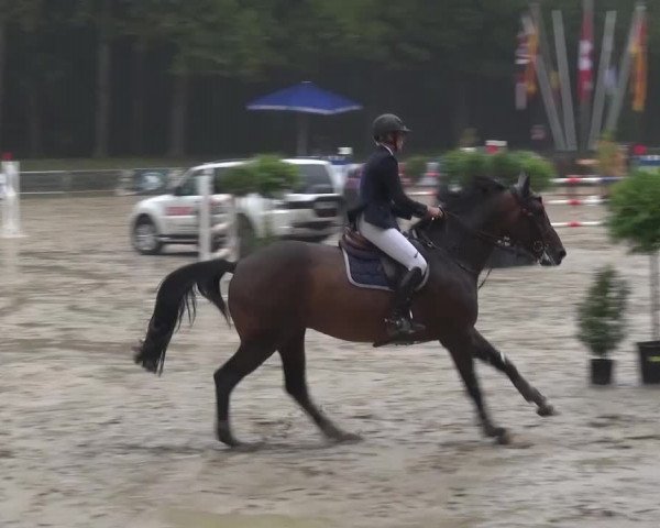 Wickrather Reitertage 2015