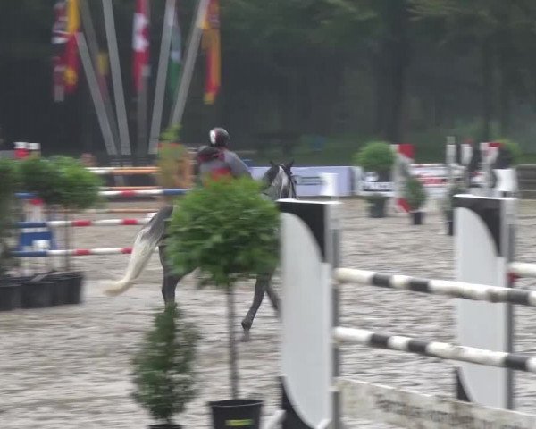 Wickrather Reitertage 2015