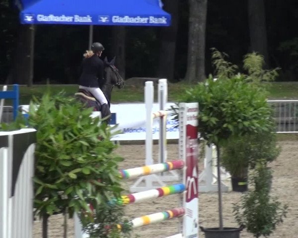 Wickrather Reitertage 2015