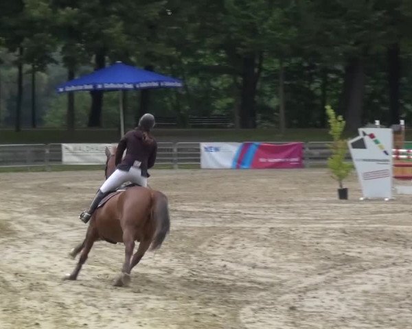 Wickrather Reitertage 2015