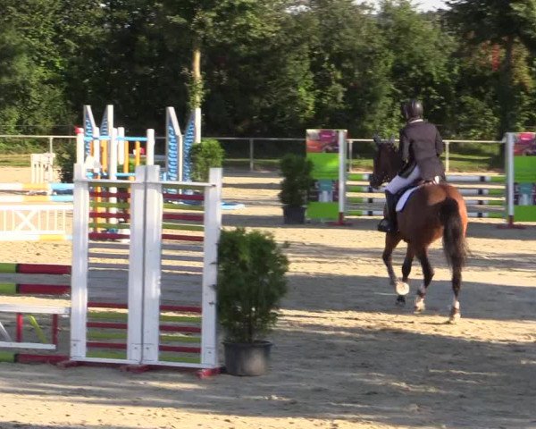 Reitturnier Appelhülsen 2015