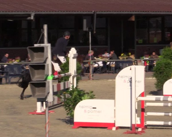 Reitturnier Appelhülsen 2015