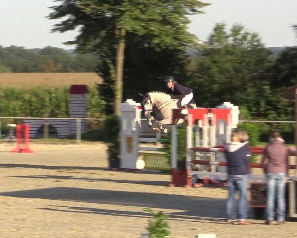 Reitturnier Appelhülsen 2015