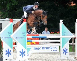 stallion Lord Cassini (Oldenburg, 2009, from Lordanos)